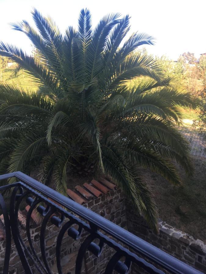 ホテル La Ginestra Castel San Lorenzo エクステリア 写真