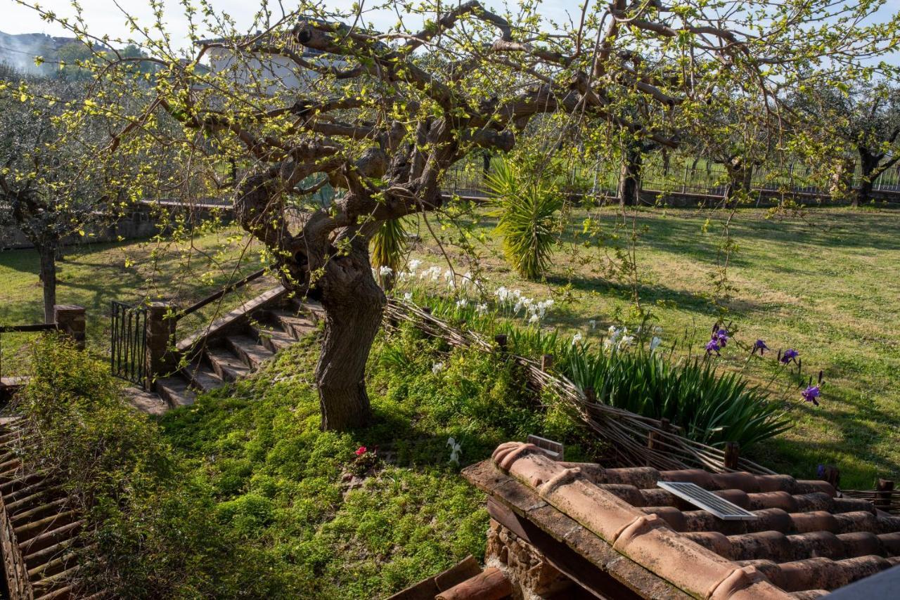 ホテル La Ginestra Castel San Lorenzo エクステリア 写真