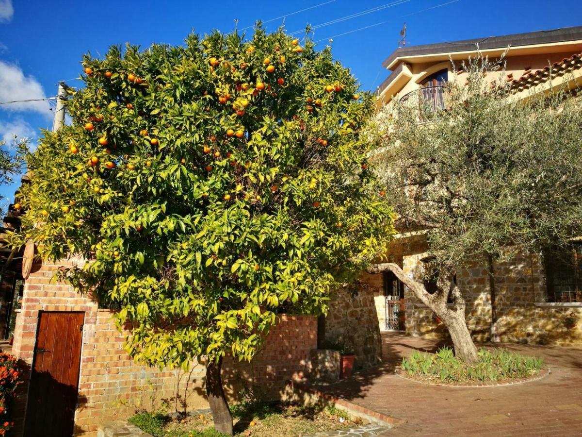 ホテル La Ginestra Castel San Lorenzo エクステリア 写真